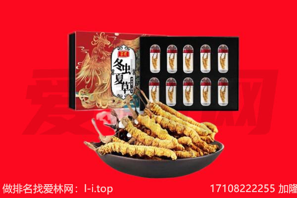 海西州茫崖回收虫草.jpg