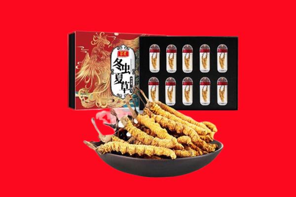 海西州茫崖回收虫草